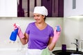 Cute happy playful housewife Royalty Free Stock Photo