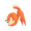 Cute Happy Pomeranian Spitz, Funny Pet Dog Cartoon Character Vector Illustration