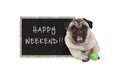 Cute happy pug puppy dog with green ball and blackboard sign with text happy weekend