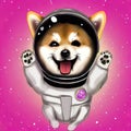 a cute happy shiba inu astronaut on a pink background