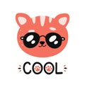 Cute happy smiling cool cat in sunglasses Royalty Free Stock Photo