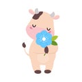 Cute happy spotted baby cow smelling flower. Adorable farm animal character cartoon vector illustration Royalty Free Stock Photo