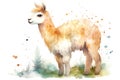 Cute happy wild baby lama in water color