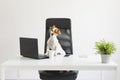 Cute happy young dog working on laptop at the office. pets indoors. Table with mobile phone, tablet and a plant