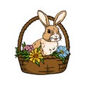 A cute hare sits in a basket with flowers. Bright vector illustration for Easter card, print and sticker. Royalty Free Stock Photo