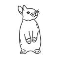 Cute hare stands on hind legs. Vector doodle animal