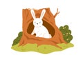 Cute hare in trunk hole. Little forest animal inside woods shelter, tree hollow. Funny adorable wild character in house