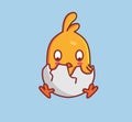 cute hatching chicks from eggshell. Animal cartoon Isolated Flat Style Sticker Web Design Icon illustration Premium Vector Logo Royalty Free Stock Photo