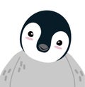 Cute Head chick Penguin cartoon Royalty Free Stock Photo