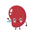 Cute healthy happy human spleen