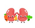 Cute healthy happy kidneys character