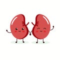 Cute and healthy happy smiling kidneys character. flat cartoon illustration icon design. Isolated on white backgound Royalty Free Stock Photo