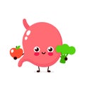 Cute healthy happy stomach character