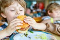 Cute healthy preschool kid boy eats hamburger sitting in school or nursery cafe. Happy child eating healthy organic and Royalty Free Stock Photo