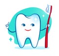 Cute healthy white shiny tooth character