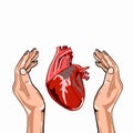 Cute heartand hands illustration white background