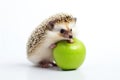 Cute hedgehog with apple on white