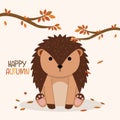 Cute hedgehog autumn animal character Vector