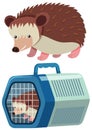 Cute hedgehog in the cage