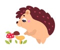 Cute Hedgehog Character Picking Ripe Mushroom Vector Illustration