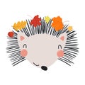 Cute hedgehog face with autumn leaves character illustration