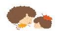 Cute hedgehog family sleeping together. Pair of forest urchin with autumn leaves and rowan branches. Flat vector cartoon