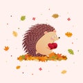 Cute Hedgehog Holding Two Apples In The Autumn Season