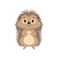 Cute hedgehog, lovely animal cartoon character front view vector Illustration Royalty Free Stock Photo