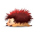 Cute hedgehog is lying on his stomach and sleeping. Vector hedgehog. Hedgehogs vector illustration. Cartoon characters