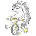 Cute hedgehog rides a bicycle. Printing on t-shirts sweatshirts designer cards.