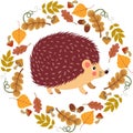 Cute hedgehog in the round frame made of autumn leaves Royalty Free Stock Photo