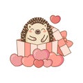 Cute Hedgehog sit in the gift box. Valentines day greeting card