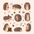 Cute hedgehog. Sleeping, relaxing cute forest animals. Walking, play and standing, happy autumn characters in different