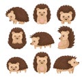 Cute hedgehog in various poses set, prickly animal cartoon character with funny face vector Illustration on a white Royalty Free Stock Photo