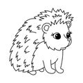 Cute hedgehog. Vector outline woodland animal illustration isolated on white. Print on t-shirt, children invitation