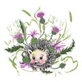 Cute hedgehog among wild herbs and milk Thistle