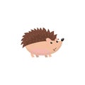 Cute hedgehog woodland cartoon animal vector Illustration Royalty Free Stock Photo