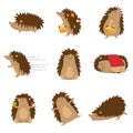 Cute hedgehogs in different poses set isolated on white background Royalty Free Stock Photo