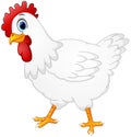 Cute hen cartoon on white background