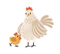 Cute hen standing with yellow chicken. Funny mom and baby birds. Colorful textured flat vector illustration isolated on