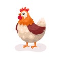 Cute Hen vector flat illustration isolated on white background. Farm animal happy hen cartoon character. Colorful farm Royalty Free Stock Photo