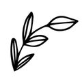 Cute herb branch doodle in hand drawn simple style. Floral vector illustration of childish drawing stylized plant. Element for Royalty Free Stock Photo