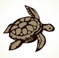 Sea turtle. Vector drawing icon Royalty Free Stock Photo