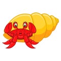 Cute hermit crab cartoon