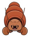 Cute Hermit Crab Front View Color Illustration Royalty Free Stock Photo