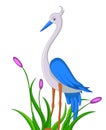Cute heron cartoon