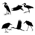 Cute Heron Silhouette Vector Art Design.