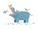 Cute hippo with birds isolated on a white background. Birds brush the teeth of a hippopotamus. Illustration for children