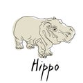 Cute Hippo cartoon of illustration