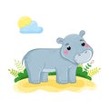 Cute Hippo in cartoon style. African animal vector illustration. Royalty Free Stock Photo